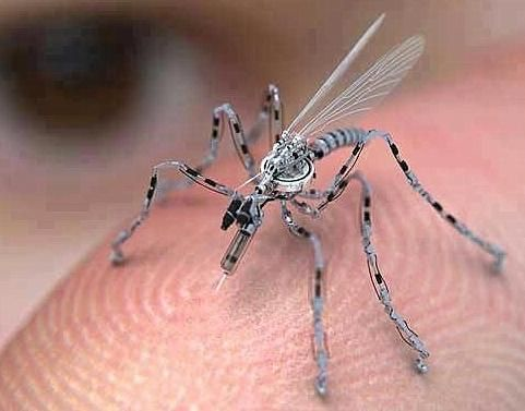 Mosquito