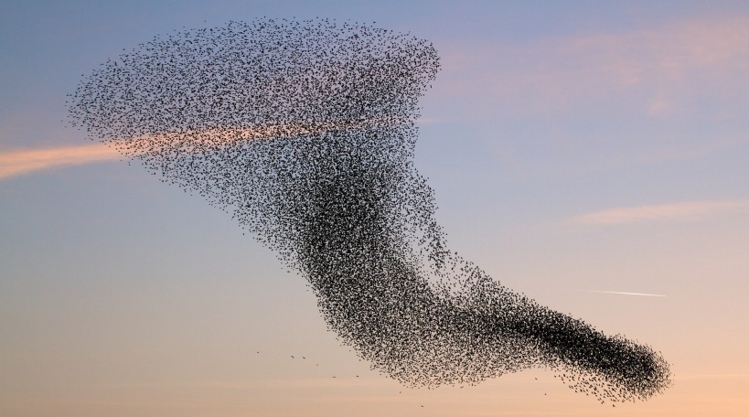 drone swarms 2 kopie