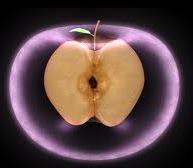 torus apple .jpeg