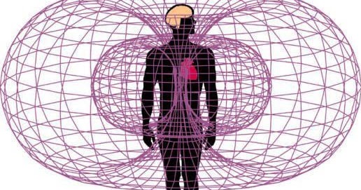 torus hart.jpg